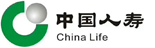 中国人寿：全行级报表系统